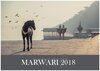 Buchcover Marwari 2018
