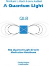 Buchcover A Quantum Light - Ebook