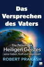 Buchcover Das Versprechen des Vaters