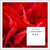 Buchcover KLR Bd. 58: Lieblingsfarben: Rot