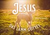 Buchcover Jesus - Das Lamm Gottes