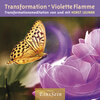 Buchcover Transformation Violette Flamme