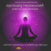 Buchcover Spirituelle Meisterschaft