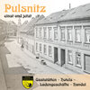 Buchcover Pulsnitz einst und jetzt