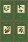 Buchcover Pomologie Française recueil des plus beaux fruits cultivés en France