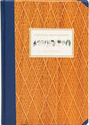 Buchcover Das Voynich-Manuskript