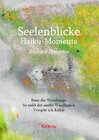 Buchcover Seelenblicke