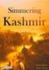 Buchcover Simmering Kashmir