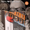 Buchcover Amberville (Ungekürzt) (Download)