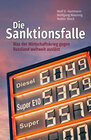 Buchcover Die Sanktionsfalle