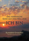 Buchcover Kundalini-Erwachen