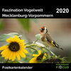 Buchcover Faszination Vogelwelt - Mecklenburg-Vorpommern 2020