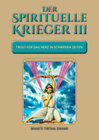 Buchcover Der spirituelle Krieger III