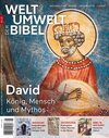 Buchcover Welt und Umwelt der Bibel / David