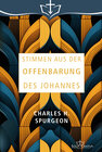 Buchcover Stimmen aus der Offenbarung des Johannes