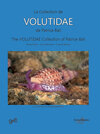 Buchcover La Collection de Volutidae de Patrice Bail / The Volutidae Collection of Patrice Bail