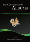 Buchcover The Conchological Albums - Terrestrial Molluscs, Volume 17