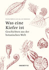 Buchcover Was eine Kiefer ist