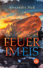 Buchcover Feuer im Eis