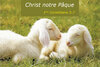 Buchcover Joyeuses Pâques - 1. Cor. 5,7