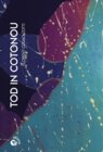 Buchcover Tod in Cotonou