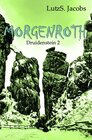 Buchcover Morgenroth Druidenstein 2