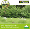 Buchcover Die Heckenscheibe