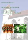 Buchcover Herbarium in Stein