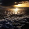 Buchcover Genesis, in our flight of fancy