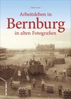 Buchcover Arbeitsleben in Bernburg