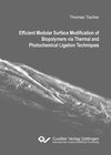 Buchcover Efficient Modular Surface Modification of Biopolymers via Thermal and Photochemical Ligation Techniques