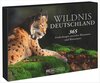 Buchcover Tischaufsteller – Wildnis Deutschland