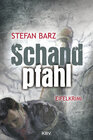 Buchcover Schandpfahl