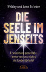 Buchcover DIE SEELE IM JENSEITS. Erleuchtung geschieht, wenn von uns nichts als Liebe übrig ist