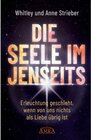 Buchcover DIE SEELE IM JENSEITS