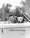 Buchcover Hollywood Dogs