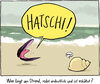 Buchcover "Was liegt am Strand und redet undeutlich"-Postkartenset "Niesnuschel"