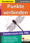 Buchcover Punkte verbinden 100