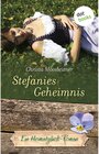 Buchcover Stefanies Geheimnis