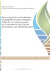 Buchcover Morphologische und molekulare Charakterisierung des Pathogens Colletotrichum gloeosporioides an Gaultheria mit dem Ziel 