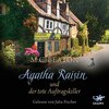 Buchcover Agatha Raisin und der tote Auftragskiller