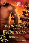 Buchcover Verführung unterm Weihnachtsbaum