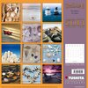 Buchcover Beach Still-Life