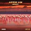 Buchcover African Wildlife