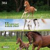 Buchcover Horses