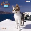 Buchcover Greek Island Cats