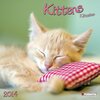 Buchcover Kittens