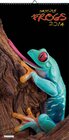 Buchcover Frogs