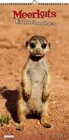 Buchcover Meerkats