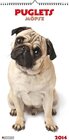 Buchcover Pugs